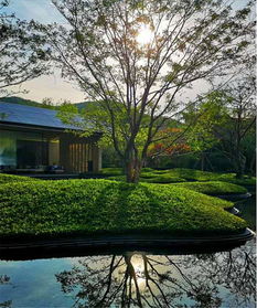 初見園林 佛山園林綠化設計施工 小學 市政 園林綠化養(yǎng)護