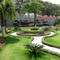 園林綠化養(yǎng)護承包圖片