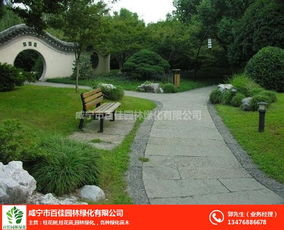 撫州園林綠化 百佳苗木公司 別墅園林綠化養(yǎng)護