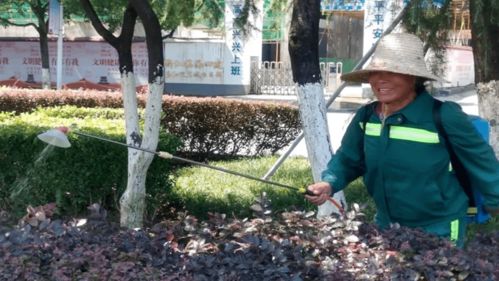 汛期園林綠化工程的安全管理