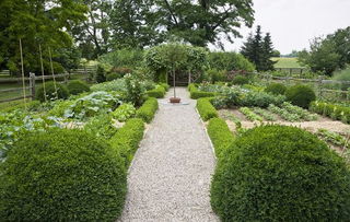 上海綠化園藝工程哪家專業而且又好