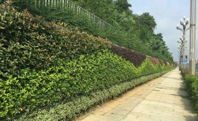 甘肅新時(shí)代園林工程 企業(yè)簡介