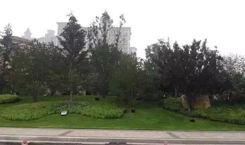 這些園林綠化工程施工技術規(guī)范,值得你花時間學習一下