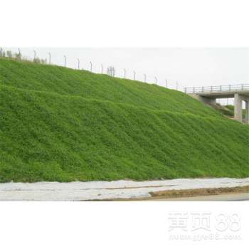 【自己的噴播設備,多年的綠化邊坡經驗,承接邊坡綠化施工】- 