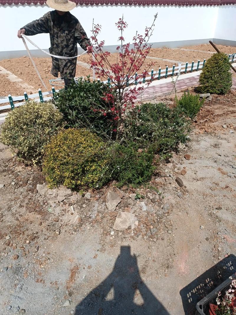 單位綠化施工現(xiàn)場管理與園林景觀工程實(shí)踐