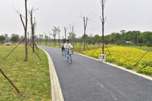 綿陽(yáng)再添綠色新名片 大型公園試開(kāi)園，園林綠化工程圓滿竣工
