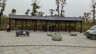 生態(tài)木花架與體育場(chǎng)地設(shè)施工程施工 價(jià)格、耐用性與施工指南