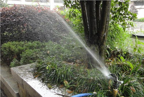 昆明考綠化工證及體育場地設施工程施工指南 難度、費用與準入解析