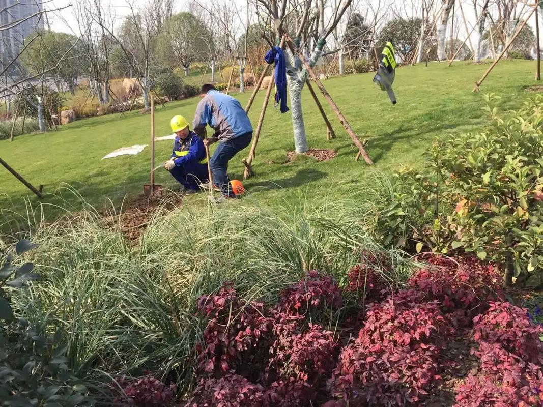 邊坡綠化工程 專業(yè)施工，筑造綠色家園的生態(tài)屏障
